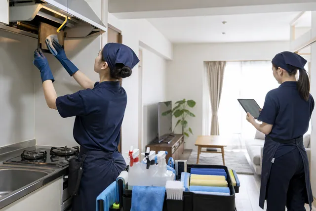 Home Cleaning Franchise